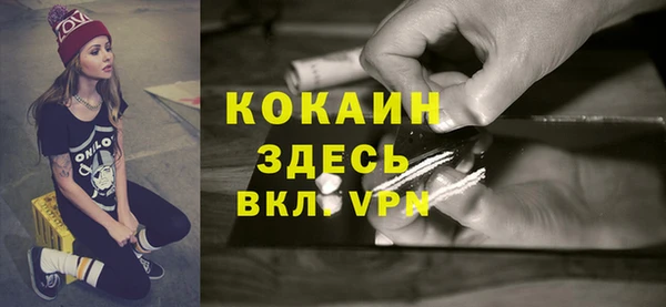 дмт Абаза